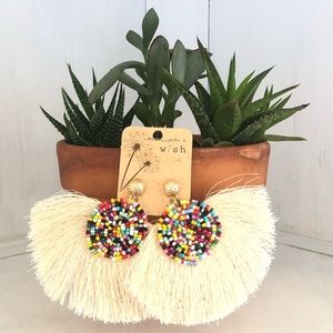 Multi Color Beaded Fringe Earrings